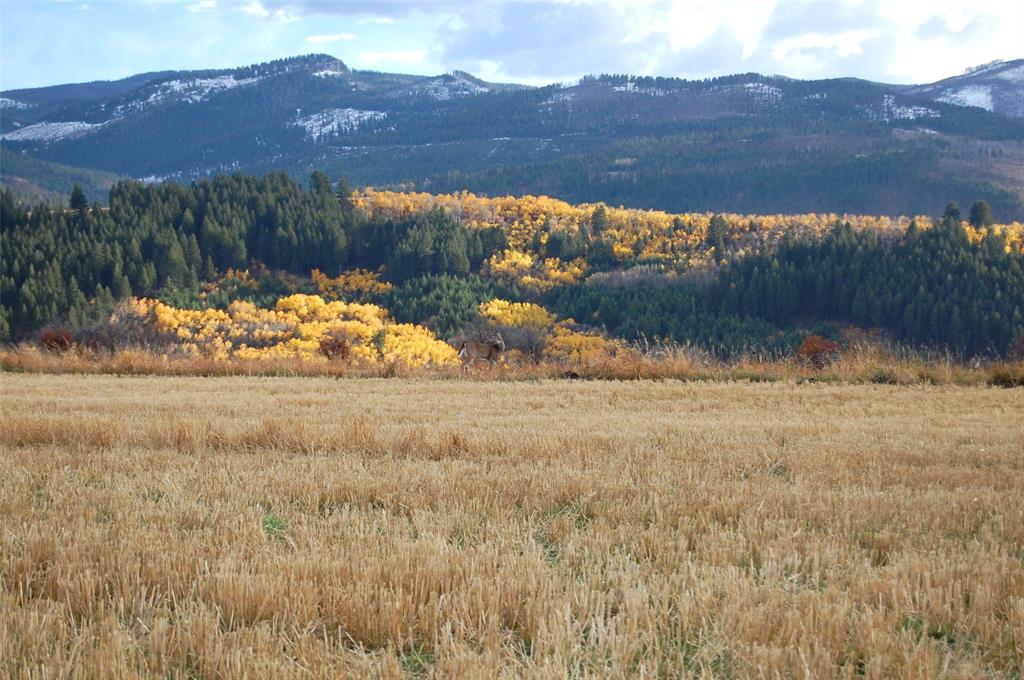 Bozeman Montana Land For Sale